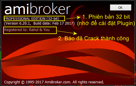 Cách xem thông tin Amibroker